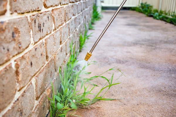 Mesure et impact : comprendre le dosage du glyphosate dans l'eau